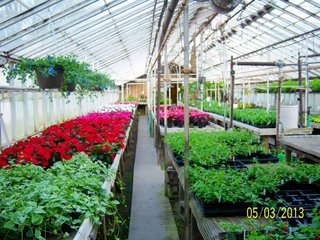 <a href="http://www.mcintoshgreenhouse.com">More Information Available at www.mcintoshgreenhouse.com</a><br><br>Fantastic opportunity on 14+/- acres just south of Goshen, IN with lots of frontage on US 33.  This property is currently zoned commercial-retail and consists of 16 greenhouses with 37,494 SF of heated growing area.  

In addition, it includes retail buildings, shop, and an approx. 1700 SF home adjacent to the business. Opportunities abound with this prime property and the second generation owners retiring and ready to consider offers.  Possible uses of this acreage is unlimited!  A Great location on a busy road, good access and paved parking for 66 vehicles.

 - 14+/- Acres Zoned Commercial-Retail